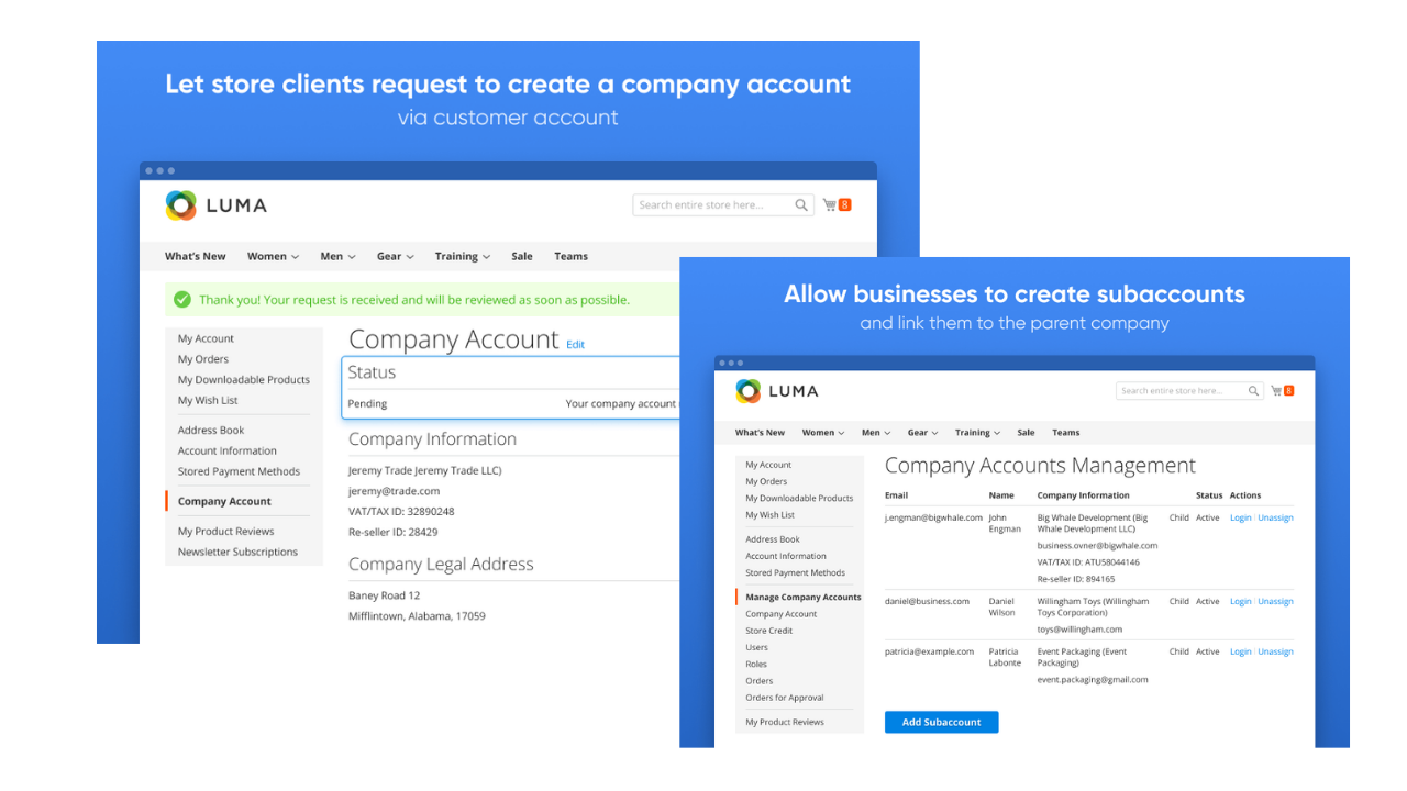 Amasty - Company Accounts 1