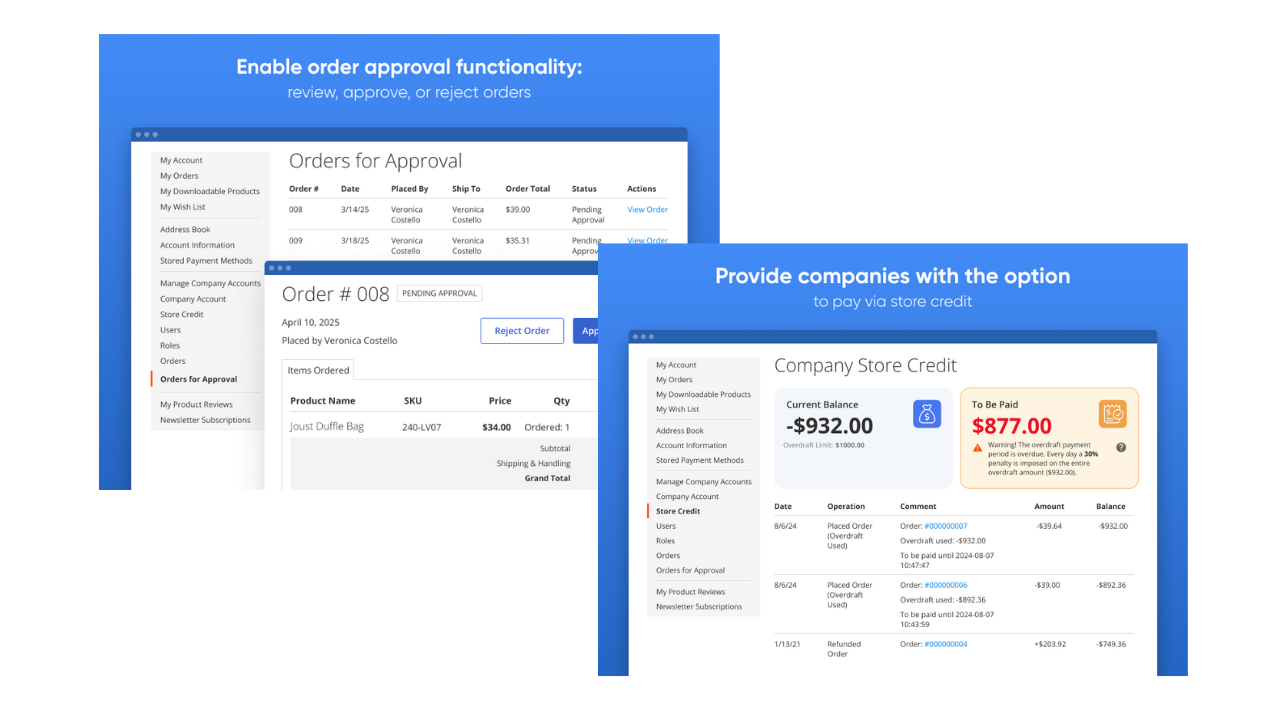 Amasty - Company Accounts 3