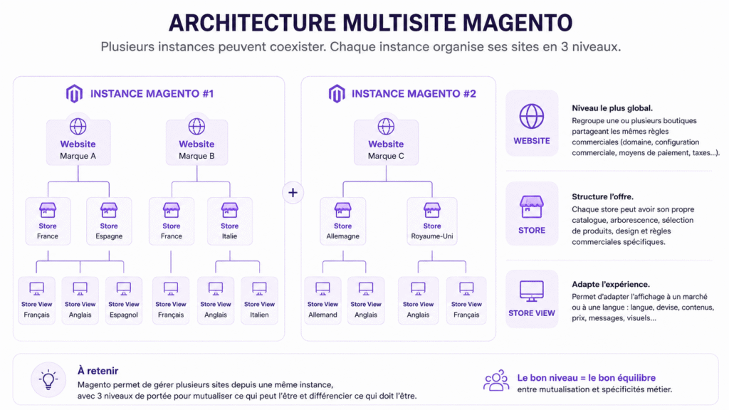 Uns chéma qui montre les niveaux d'une architecture multisite Magento